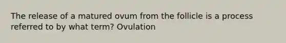 The release of a matured ovum from the follicle is a process referred to by what term? Ovulation