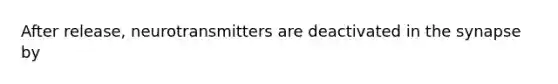 After release, neurotransmitters are deactivated in the synapse by