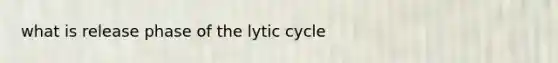 what is release phase of the lytic cycle