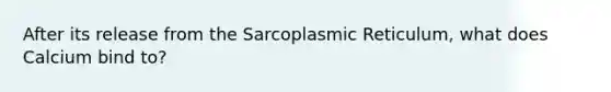 After its release from the Sarcoplasmic Reticulum, what does Calcium bind to?