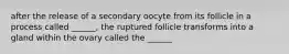 after the release of a secondary oocyte from its follicle in a process called ______, the ruptured follicle transforms into a gland within the ovary called the ______