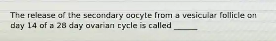 The release of the secondary oocyte from a vesicular follicle on day 14 of a 28 day ovarian cycle is called ______