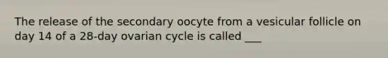 The release of the secondary oocyte from a vesicular follicle on day 14 of a 28-day ovarian cycle is called ___