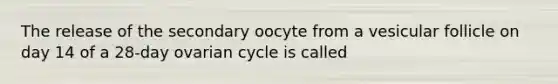 The release of the secondary oocyte from a vesicular follicle on day 14 of a 28-day ovarian cycle is called