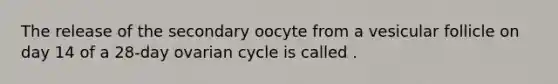 The release of the secondary oocyte from a vesicular follicle on day 14 of a 28-day ovarian cycle is called .