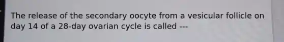 The release of the secondary oocyte from a vesicular follicle on day 14 of a 28-day ovarian cycle is called ---