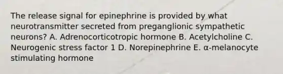 The release signal for epinephrine is provided by what neurotransmitter secreted from preganglionic sympathetic neurons? A. Adrenocorticotropic hormone B. Acetylcholine C. Neurogenic stress factor 1 D. Norepinephrine E. α-melanocyte stimulating hormone