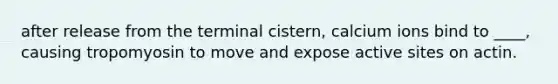 after release from the terminal cistern, calcium ions bind to ____, causing tropomyosin to move and expose active sites on actin.