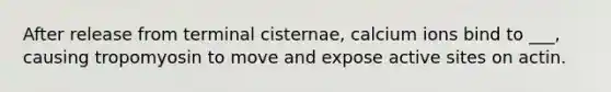 After release from terminal cisternae, calcium ions bind to ___, causing tropomyosin to move and expose active sites on actin.