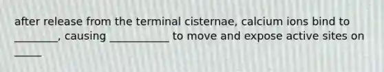 after release from the terminal cisternae, calcium ions bind to ________, causing ___________ to move and expose active sites on _____