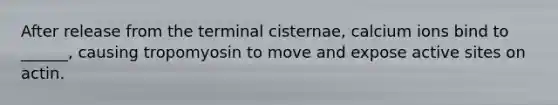 After release from the terminal cisternae, calcium ions bind to ______, causing tropomyosin to move and expose active sites on actin.