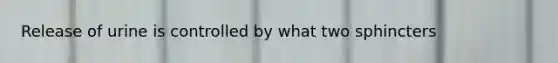 Release of urine is controlled by what two sphincters