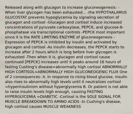 Released along with glucagon to increase gluconeogenesis: -When liver glycogen has been exhausted... -the HYPOTHALAMUS GLUCOSTAT prevents hypoglycemia by signaling secretion of glucagon and cortisol -Glucagon and cortisol induce increased concentrations of pyruvate carboxylase, PEPCK, and glucose-6-phosphatase via transcriptional controls -PEPCK most important since it is the RATE LIMITING ENZYME of gluconeogenesis -Expression of PEPCK is inhibited by insulin and activated by glucagon and cortisol -As insulin decreases, the PEPCK starts to increase after 2 hours which is long before liver glycogen is exhausted -Then when it is, glucagon and cortisol cause continued [PEPCK] increases until it peaks around 16 hours of fasting Cushing's disease=abnormally high cortisol ABNORMALLY HIGH CORTISOL=ABNORMALLY HIGH GLUCONEOGENIC FLUX One of 2 consequences: A. In response to rising blood glucose, insulin also rises to abnormally high levels until it neutralizes cortisol =hyperinsulinism without hyperglycemia B. Or patient is not able to raise insulin levels high enough, causing FASTING HYPERGLYCEMIA =DIABETIC -Cortisol is the SOLE SIGNAL FOR MUSCLE BREAKDOWN TO AMINO ACIDS -In Cushing's disease, high cortisol causes MUSCLE WEAKNESS