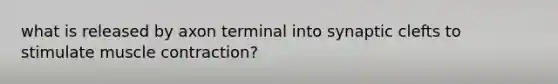 what is released by axon terminal into synaptic clefts to stimulate muscle contraction?