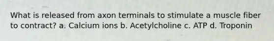 What is released from axon terminals to stimulate a muscle fiber to contract? a. Calcium ions b. Acetylcholine c. ATP d. Troponin