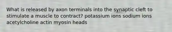 What is released by axon terminals into the synaptic cleft to stimulate a muscle to contract? potassium ions sodium ions acetylcholine actin myosin heads