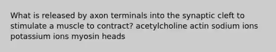 What is released by axon terminals into the synaptic cleft to stimulate a muscle to contract? acetylcholine actin sodium ions potassium ions myosin heads