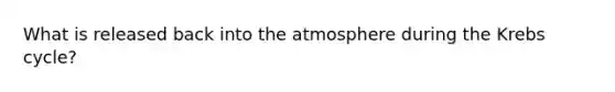 What is released back into the atmosphere during the <a href='https://www.questionai.com/knowledge/kqfW58SNl2-krebs-cycle' class='anchor-knowledge'>krebs cycle</a>?