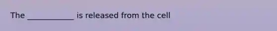 The ____________ is released from the cell