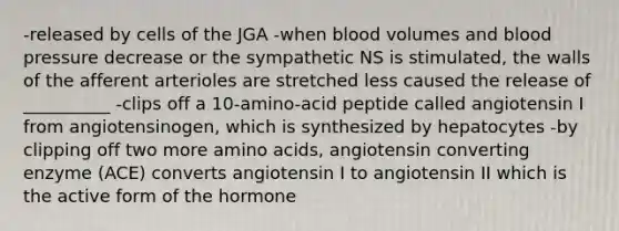 -released by cells of the JGA -when blood volumes and blood pressure decrease or the sympathetic NS is stimulated, the walls of the afferent arterioles are stretched less caused the release of __________ -clips off a 10-amino-acid peptide called angiotensin I from angiotensinogen, which is synthesized by hepatocytes -by clipping off two more amino acids, angiotensin converting enzyme (ACE) converts angiotensin I to angiotensin II which is the active form of the hormone