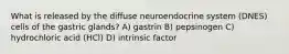 What is released by the diffuse neuroendocrine system (DNES) cells of the gastric glands? A) gastrin B) pepsinogen C) hydrochloric acid (HCl) D) intrinsic factor