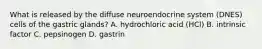 What is released by the diffuse neuroendocrine system (DNES) cells of the gastric glands? A. hydrochloric acid (HCl) B. intrinsic factor C. pepsinogen D. gastrin