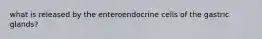 what is released by the enteroendocrine cells of the gastric glands?