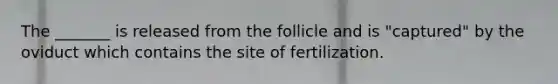 The _______ is released from the follicle and is "captured" by the oviduct which contains the site of fertilization.