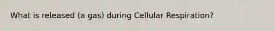 What is released (a gas) during Cellular Respiration?