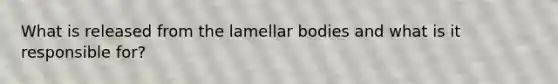 What is released from the lamellar bodies and what is it responsible for?