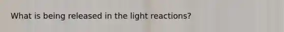 What is being released in the light reactions?