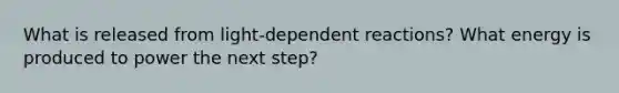 What is released from light-dependent reactions? What energy is produced to power the next step?