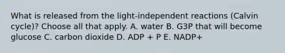 What is released from the light-independent reactions (Calvin cycle)? Choose all that apply. A. water B. G3P that will become glucose C. carbon dioxide D. ADP + P E. NADP+