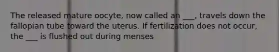 The released mature oocyte, now called an ___, travels down the fallopian tube toward the uterus. If fertilization does not occur, the ___ is flushed out during menses