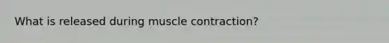 What is released during muscle contraction?