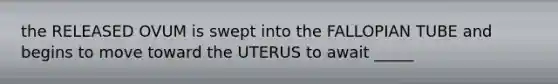 the RELEASED OVUM is swept into the FALLOPIAN TUBE and begins to move toward the UTERUS to await _____