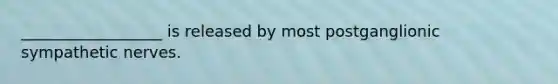 __________________ is released by most postganglionic sympathetic nerves.