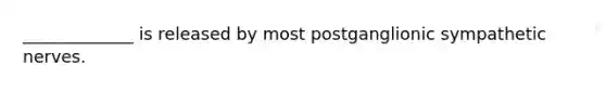 _____________ is released by most postganglionic sympathetic nerves.