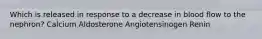 Which is released in response to a decrease in blood flow to the nephron? Calcium Aldosterone Angiotensinogen Renin