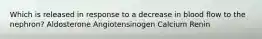 Which is released in response to a decrease in blood flow to the nephron? Aldosterone Angiotensinogen Calcium Renin