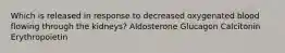 Which is released in response to decreased oxygenated blood flowing through the kidneys? Aldosterone Glucagon Calcitonin Erythropoietin