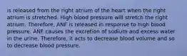 is released from the right atrium of the heart when the right atrium is stretched. High blood pressure will stretch the right atrium. Therefore, ANF is released in response to high blood pressure. ANF causes the excretion of sodium and excess water in the urine. Therefore, it acts to decrease blood volume and so to decrease blood pressure.