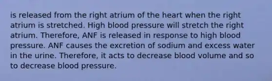 is released from the right atrium of <a href='https://www.questionai.com/knowledge/kya8ocqc6o-the-heart' class='anchor-knowledge'>the heart</a> when the right atrium is stretched. High <a href='https://www.questionai.com/knowledge/kD0HacyPBr-blood-pressure' class='anchor-knowledge'>blood pressure</a> will stretch the right atrium. Therefore, ANF is released in response to high blood pressure. ANF causes the excretion of sodium and excess water in the urine. Therefore, it acts to decrease blood volume and so to decrease blood pressure.