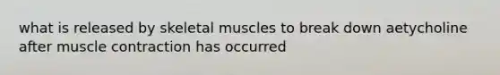 what is released by skeletal muscles to break down aetycholine after muscle contraction has occurred