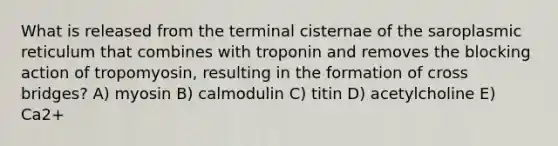 What is released from the terminal cisternae of the saroplasmic reticulum that combines with troponin and removes the blocking action of tropomyosin, resulting in the formation of cross bridges? A) myosin B) calmodulin C) titin D) acetylcholine E) Ca2+