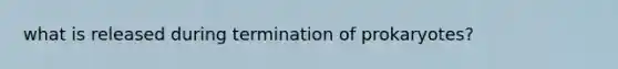 what is released during termination of prokaryotes?