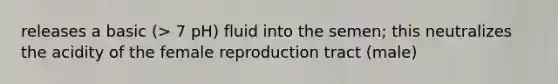 releases a basic (> 7 pH) fluid into the semen; this neutralizes the acidity of the female reproduction tract (male)