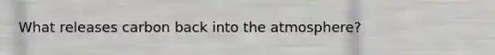 What releases carbon back into the atmosphere?