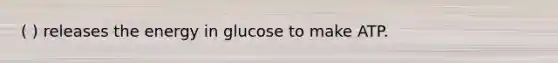 ( ) releases the energy in glucose to make ATP.
