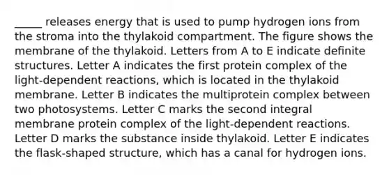 _____ releases energy that is used to pump hydrogen ions from the stroma into the thylakoid compartment. The figure shows the membrane of the thylakoid. Letters from A to E indicate definite structures. Letter A indicates the first protein complex of the light-dependent reactions, which is located in the thylakoid membrane. Letter B indicates the multiprotein complex between two photosystems. Letter C marks the second integral membrane protein complex of the light-dependent reactions. Letter D marks the substance inside thylakoid. Letter E indicates the flask-shaped structure, which has a canal for hydrogen ions.